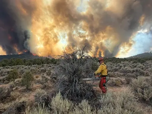 New Pass Fire, Churchill County, Nevada