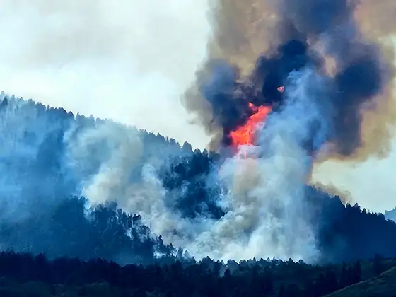 Outback Firefighting crew photo 1