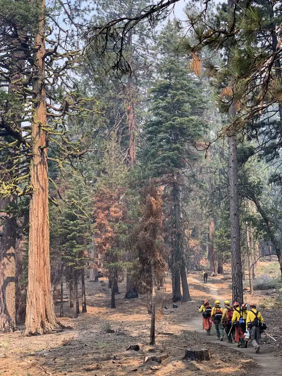 Outback Firefighting crew photo 21