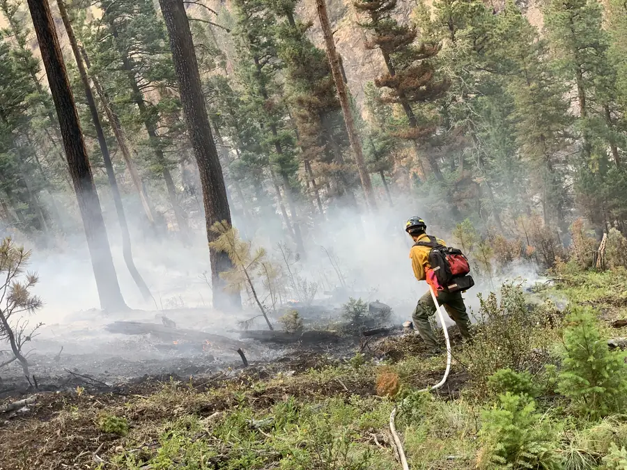 Firefighter spraying water on a smoking forest floor