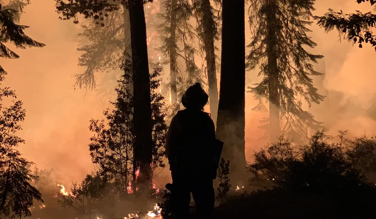 Outback firefighter silhouetted against a forest fire at night